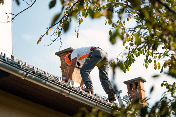Best Residential Roof Replacement  in Genola, UT