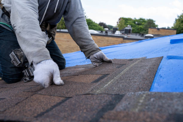 Best Best Roofing Contractors  in Genola, UT