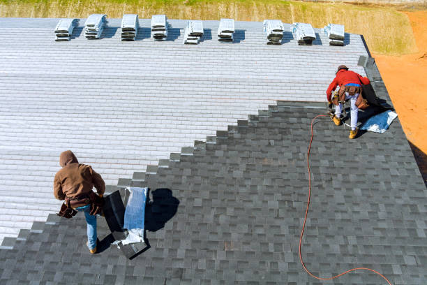 Best Shingle Roofing Installation  in Genola, UT