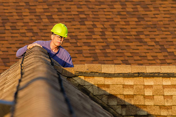 Best Roof Gutter Cleaning  in Genola, UT