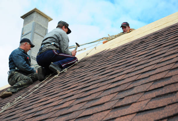 Quick and Trustworthy Emergency Roof Repair Services in Genola, UT